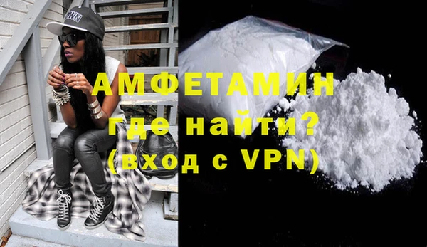 гидра Гатчина